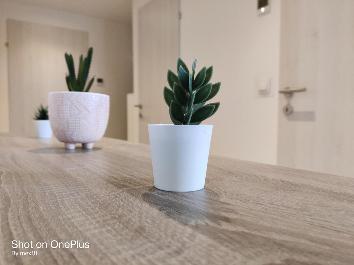 Ferienwohnung Grete, An Der Weinstrasse Ehrenhausen Exteriör bild